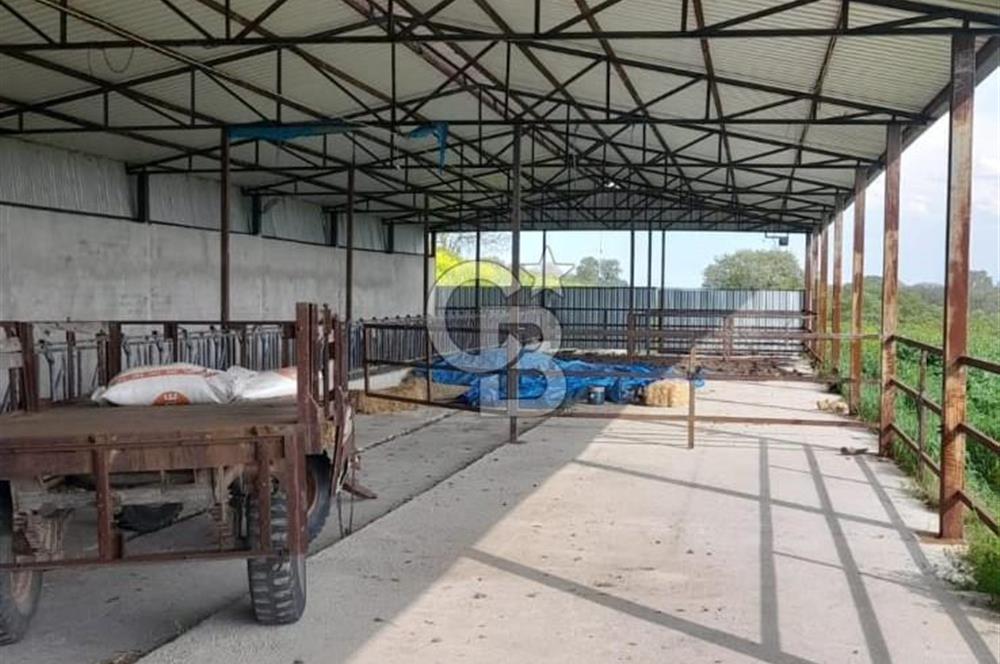 Balıkesir Manyas’ta İskânlı Anahtar teslim 600 m2 Besi Çiftliği