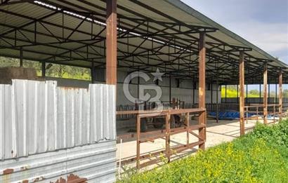 Balıkesir Manyas’ta İskânlı Anahtar teslim 600 m2 Besi Çiftliği