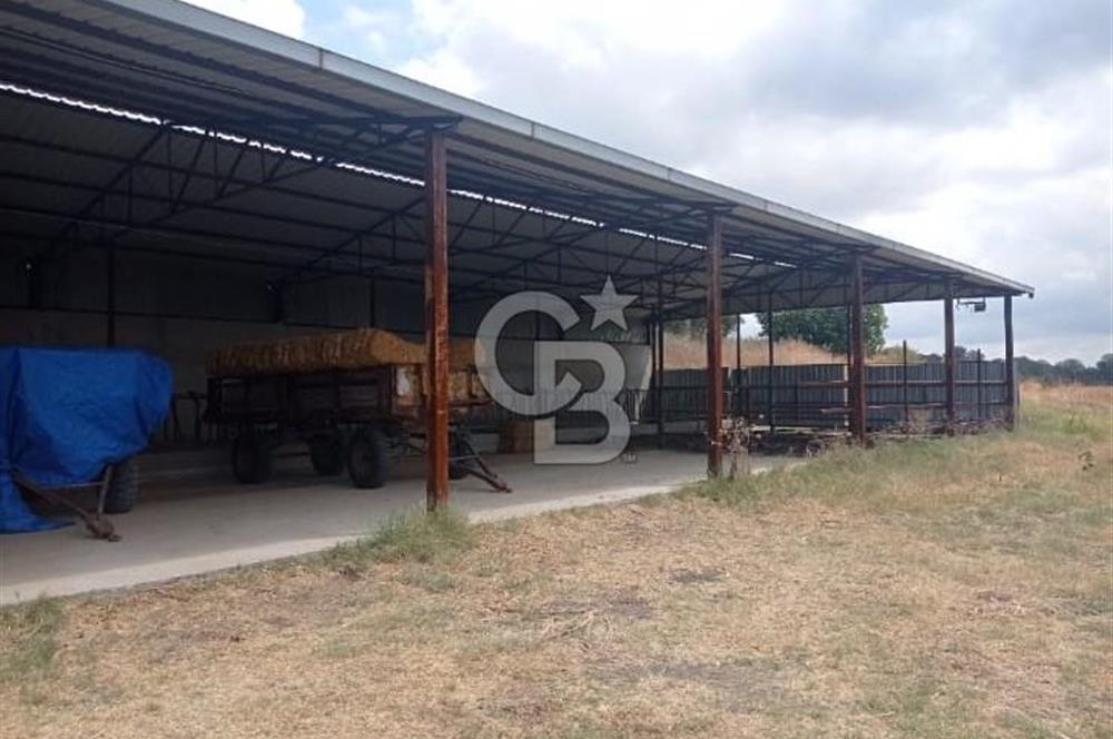 Balıkesir Manyas’ta İskânlı Anahtar teslim 600 m2 Besi Çiftliği