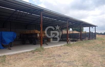 Balıkesir Manyas’ta İskânlı Anahtar teslim 600 m2 Besi Çiftliği