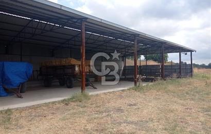 Balıkesir Manyas’ta İskânlı Anahtar teslim 600 m2 Besi Çiftliği