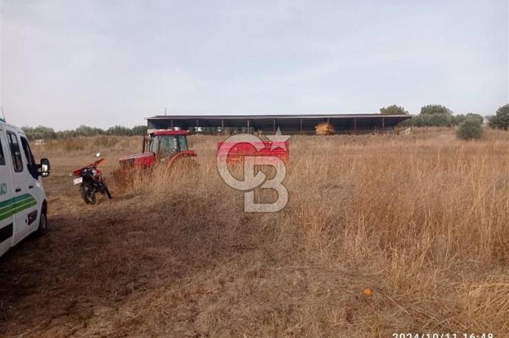 Balıkesir Manyas’ta İskânlı Anahtar teslim 600 m2 Besi Çiftliği