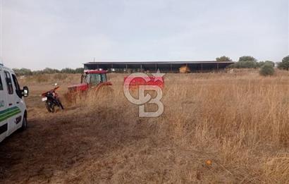 Balıkesir Manyas’ta İskânlı Anahtar teslim 600 m2 Besi Çiftliği