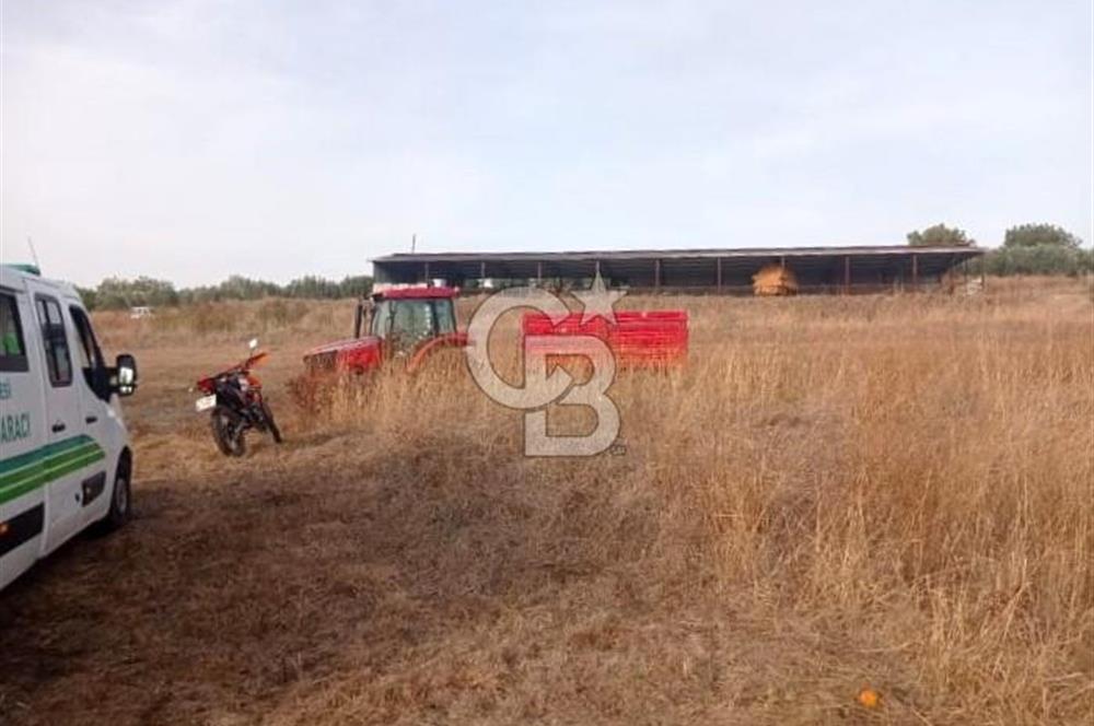 Balıkesir Manyas’ta İskânlı Anahtar teslim 600 m2 Besi Çiftliği