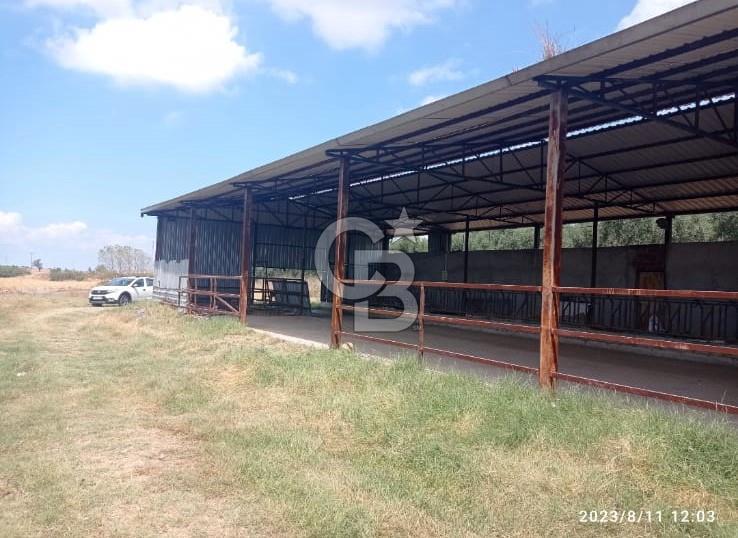 Balıkesir Manyas’ta İskânlı Anahtar teslim 600 m2 Besi Çiftliği