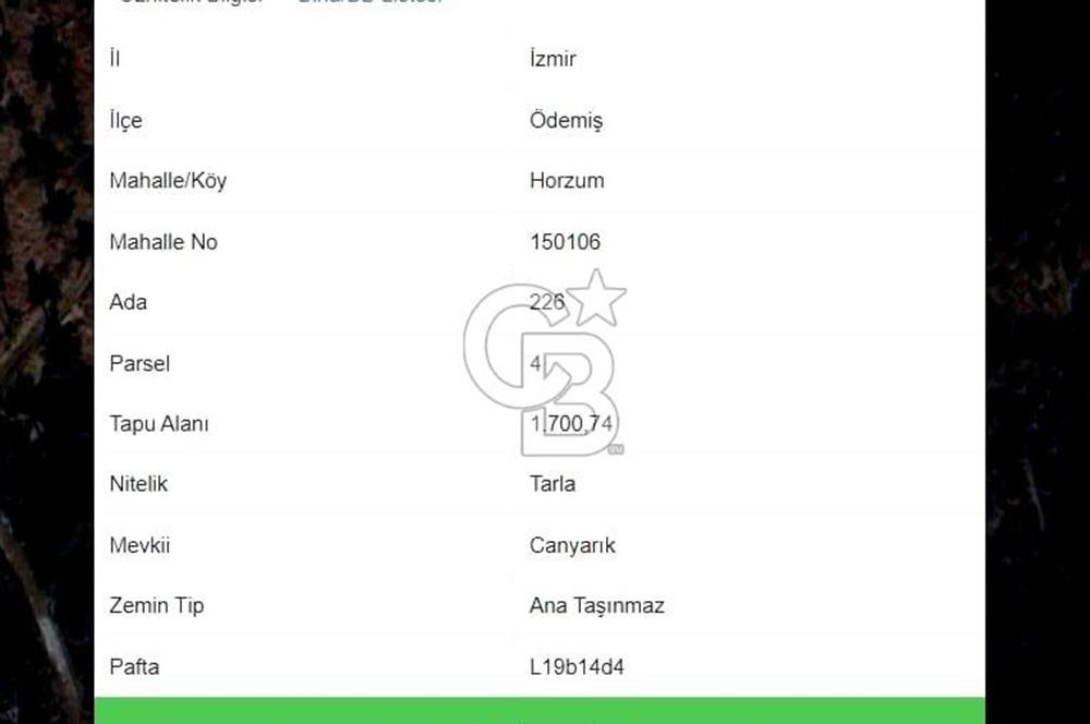 Ödemiş Horzum 1700M2 Resmi Yola Cephe Köye Yakın Satılık Bahçe
