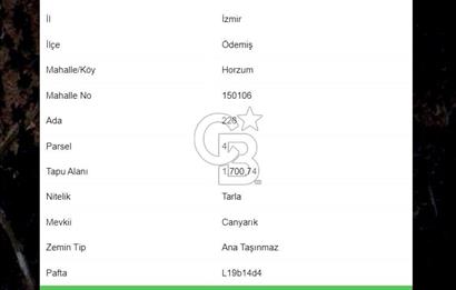 Ödemiş Horzum 1700M2 Resmi Yola Cephe Köye Yakın Satılık Bahçe