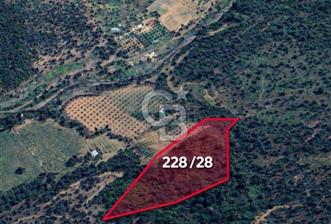 Seferihisar Beylerde Müstakil Tapulu 5802 m² Zeytinlik - 1 - 335163