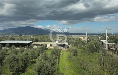 Kemalpaşa Ören’de Satılık Besi Damlı Çiftlik Evi