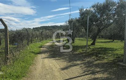 Kemalpaşa Ören’de Satılık Besi Damlı Çiftlik Evi