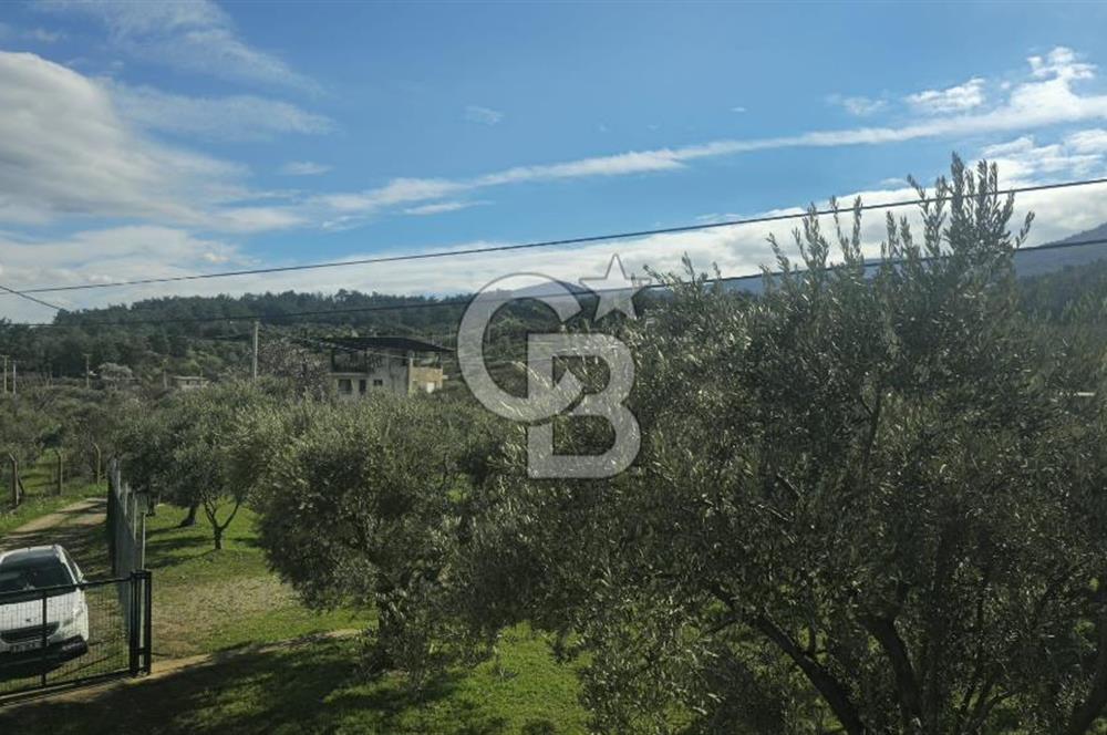 Kemalpaşa Ören’de Satılık Besi Damlı Çiftlik Evi