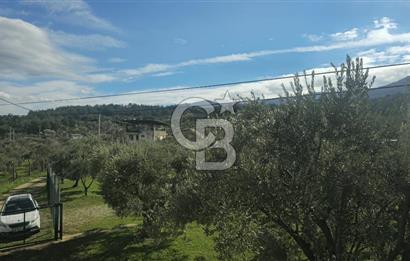 Kemalpaşa Ören’de Satılık Besi Damlı Çiftlik Evi