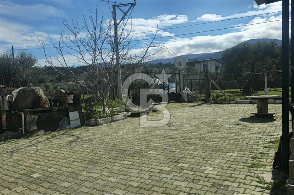 Kemalpaşa Ören’de Satılık Besi Damlı Çiftlik Evi