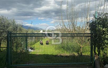 Kemalpaşa Ören’de Satılık Besi Damlı Çiftlik Evi