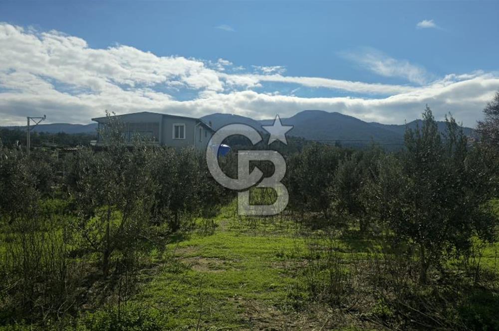 Kemalpaşa Ören’de Satılık Besi Damlı Çiftlik Evi