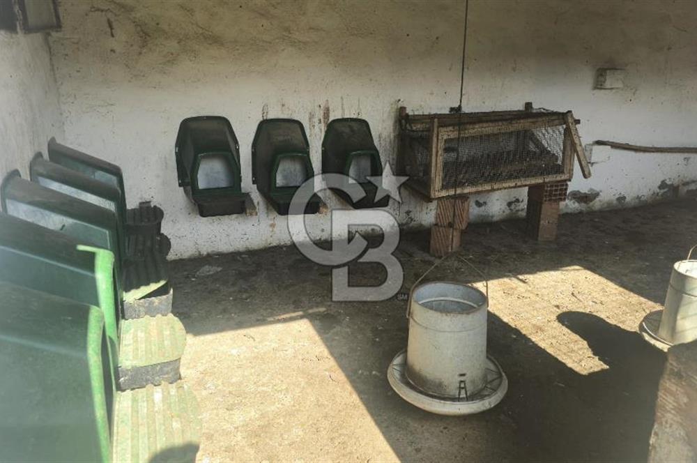 Kemalpaşa Ören’de Satılık Besi Damlı Çiftlik Evi