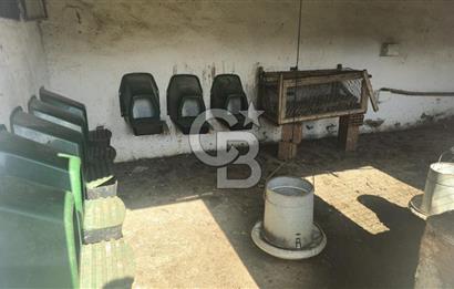 Kemalpaşa Ören’de Satılık Besi Damlı Çiftlik Evi