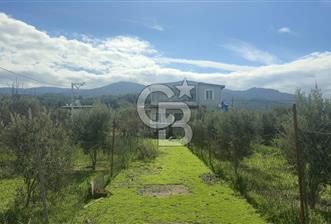 Kemalpaşa Ören’de Satılık Besi Damlı Çiftlik Evi - 2 - 334396