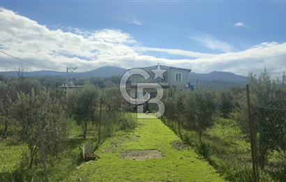 Kemalpaşa Ören’de Satılık Besi Damlı Çiftlik Evi