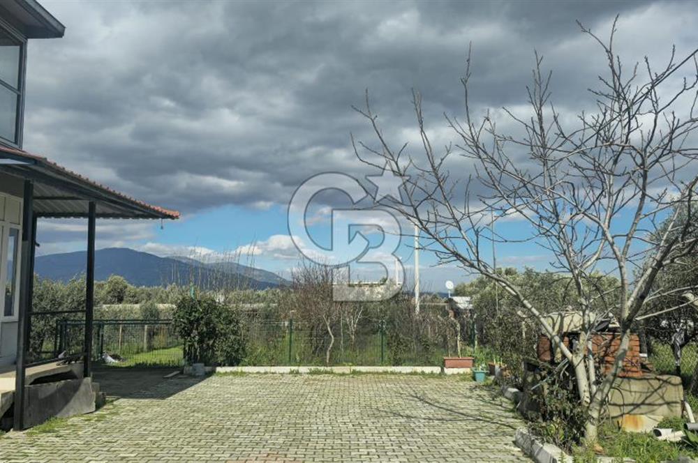 Kemalpaşa Ören’de Satılık Besi Damlı Çiftlik Evi