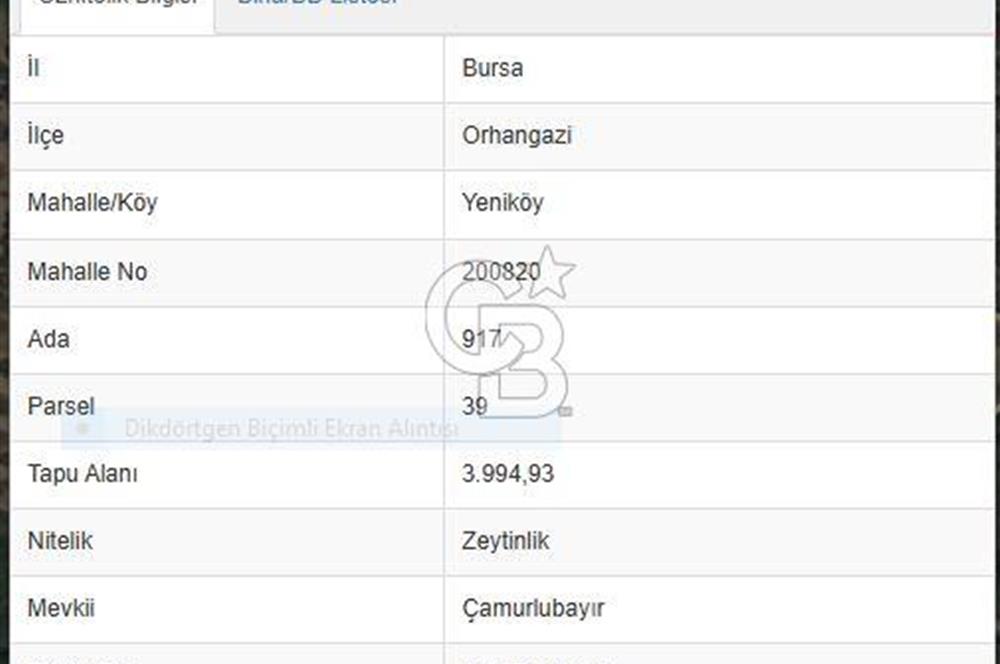 ORHANGAZİ YENİKÖY 4000 M2 GÖL MANZARALI SATILIK ZEYTİNLİK!.