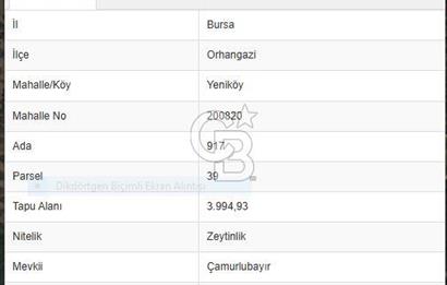 ORHANGAZİ YENİKÖY 4000 M2 GÖL MANZARALI SATILIK ZEYTİNLİK!.