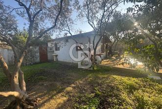 Urla Denizli Mahallesinde Satılık Arsa - 1 - 335296