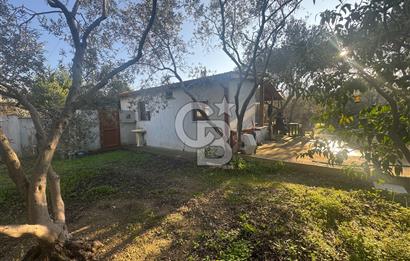 Urla Denizli Mahallesinde Satılık Arsa