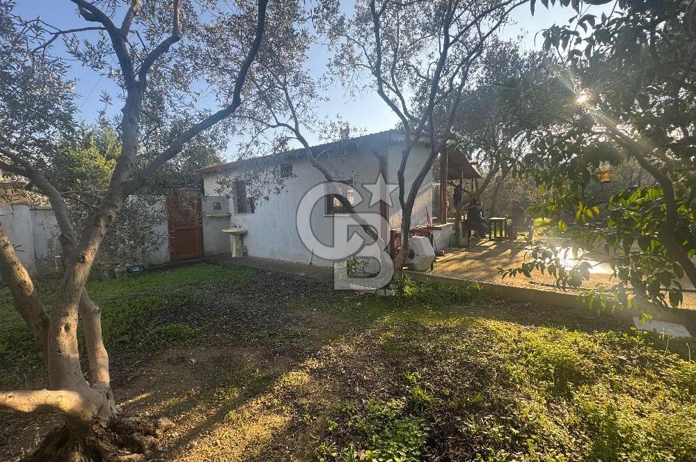 Urla Denizli Mahallesinde Satılık Arsa