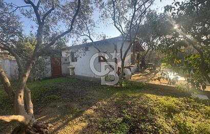 Urla Denizli Mahallesinde Satılık Arsa