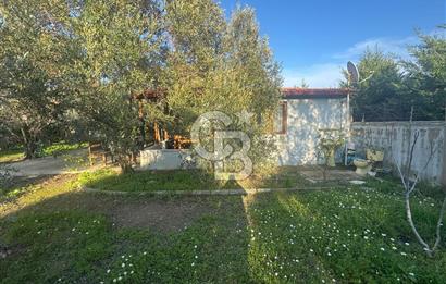 Urla Denizli Mahallesinde Satılık Arsa