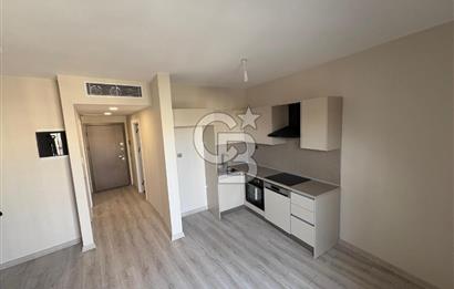 MEYDAN ARDIÇLI'DA 1+1 BALKONLU MEYDAN CEPHELİ KİRALIK DAİRE