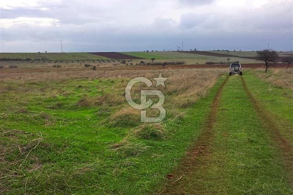 Karabiga'da 6630m2 Rüzgar Enerji Santrali İmarlı Arazi, Tek ve Kök Tapu