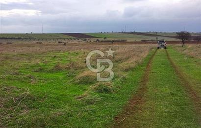 Karabiga'da 6630m2 Rüzgar Enerji Santrali İmarlı Arazi, Tek ve Kök Tapu