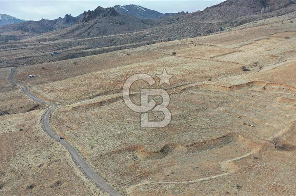 Niğde Ulukışla hasangazi köyünde s