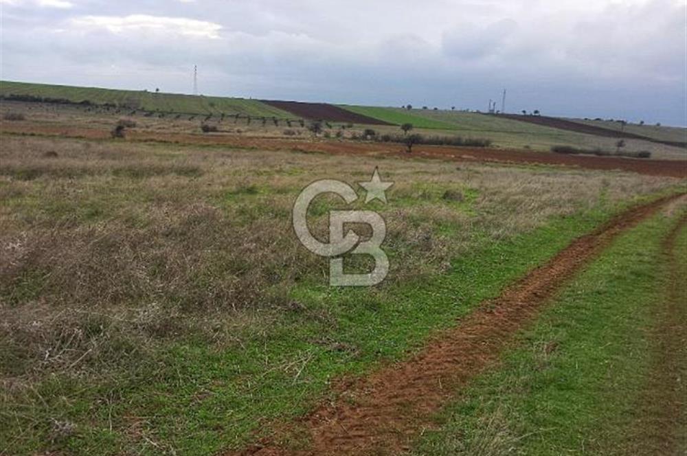 Karabiga'da 6630m2 Rüzgar Enerji Santrali İmarlı Arazi, Tek ve Kök Tapu