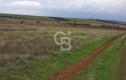 Karabiga'da 6630m2 Rüzgar Enerji Santrali İmarlı Arazi, Tek ve Kök Tapu