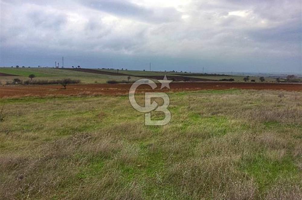 Karabiga'da 6630m2 Rüzgar Enerji Santrali İmarlı Arazi, Tek ve Kök Tapu