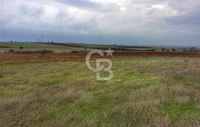 Karabiga'da 6630m2 Rüzgar Enerji Santrali İmarlı Arazi, Tek ve Kök Tapu