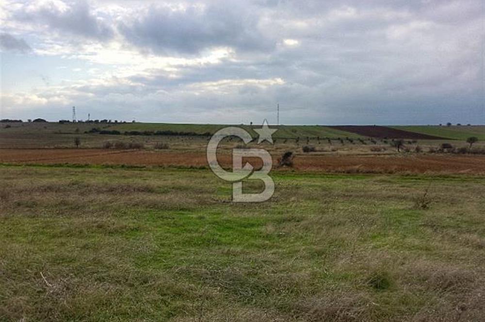 Karabiga'da 6630m2 Rüzgar Enerji Santrali İmarlı Arazi, Tek ve Kök Tapu