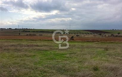 Karabiga'da 6630m2 Rüzgar Enerji Santrali İmarlı Arazi, Tek ve Kök Tapu