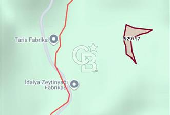 ÇANAKKALE AYVACIK  ADATEPE  KÖYÜ'NDE SATILIK ZEYTİNLİK - 10 - 335339