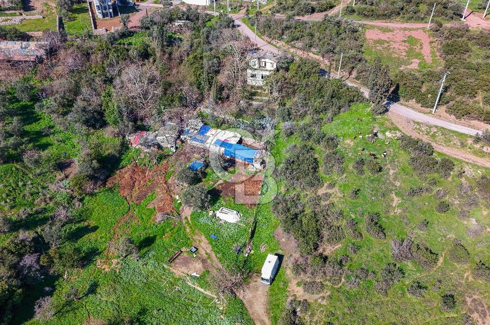 Osmangazi Köprüsü Aksında Satılık 2.000 m2 Yatırım Fırsatı