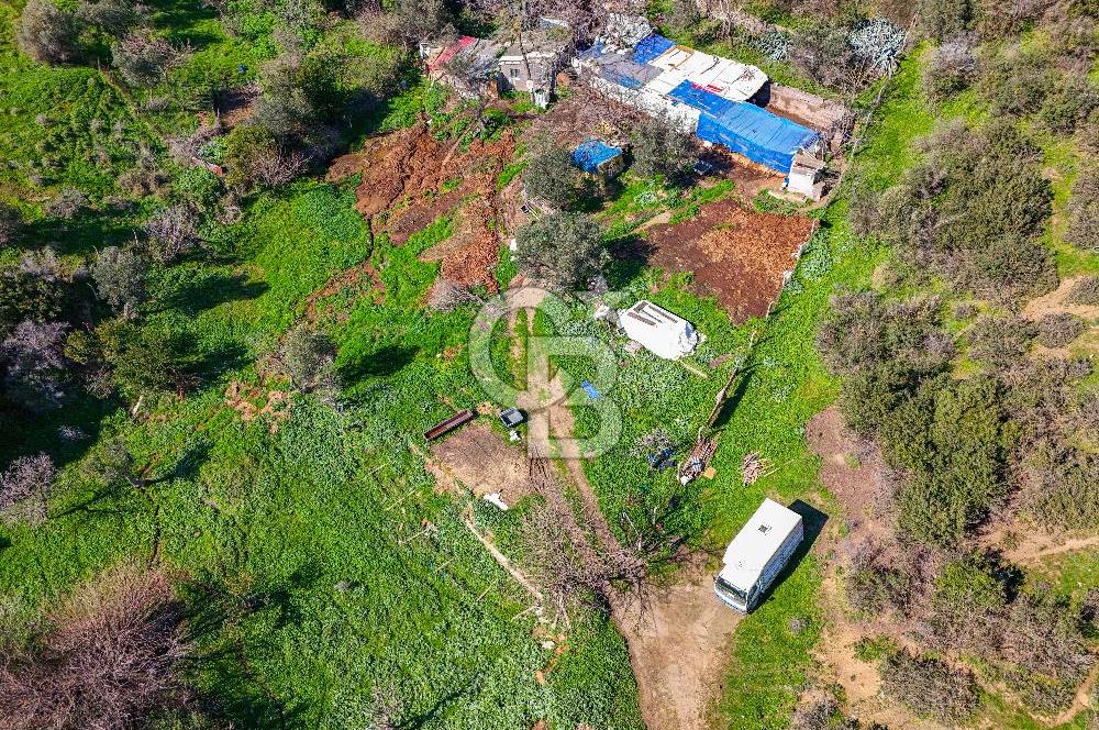 Osmangazi Köprüsü Aksında Satılık 2.000 m2 Yatırım Fırsatı