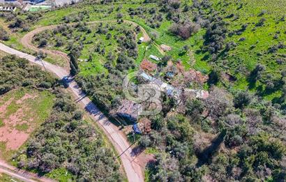 Osmangazi Köprüsü Aksında Satılık 2.000 m2 Yatırım Fırsatı