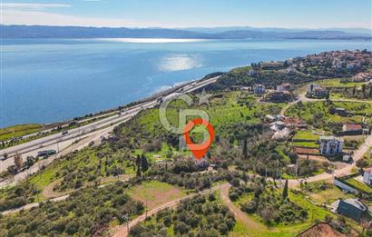 Osmangazi Köprüsü Aksında Satılık 2.000 m2 Yatırım Fırsatı