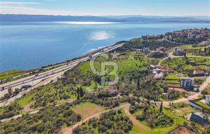 Osmangazi Köprüsü Aksında Satılık 2.000 m2 Yatırım Fırsatı