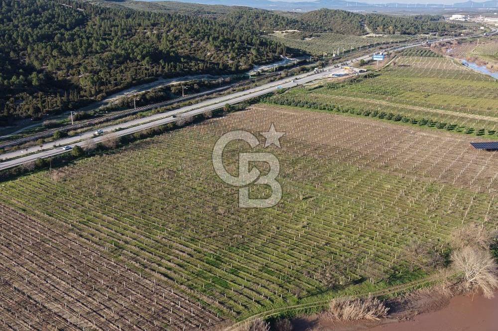 MANİSA-AKHİSAR YOLUNDA,ANAYOLA 120 METRE CEPHELİ SATILIK TARLA