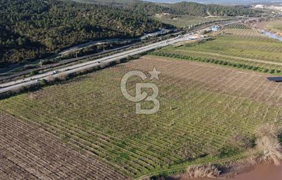 MANİSA-AKHİSAR YOLUNDA,ANAYOLA 120 METRE CEPHELİ SATILIK TARLA