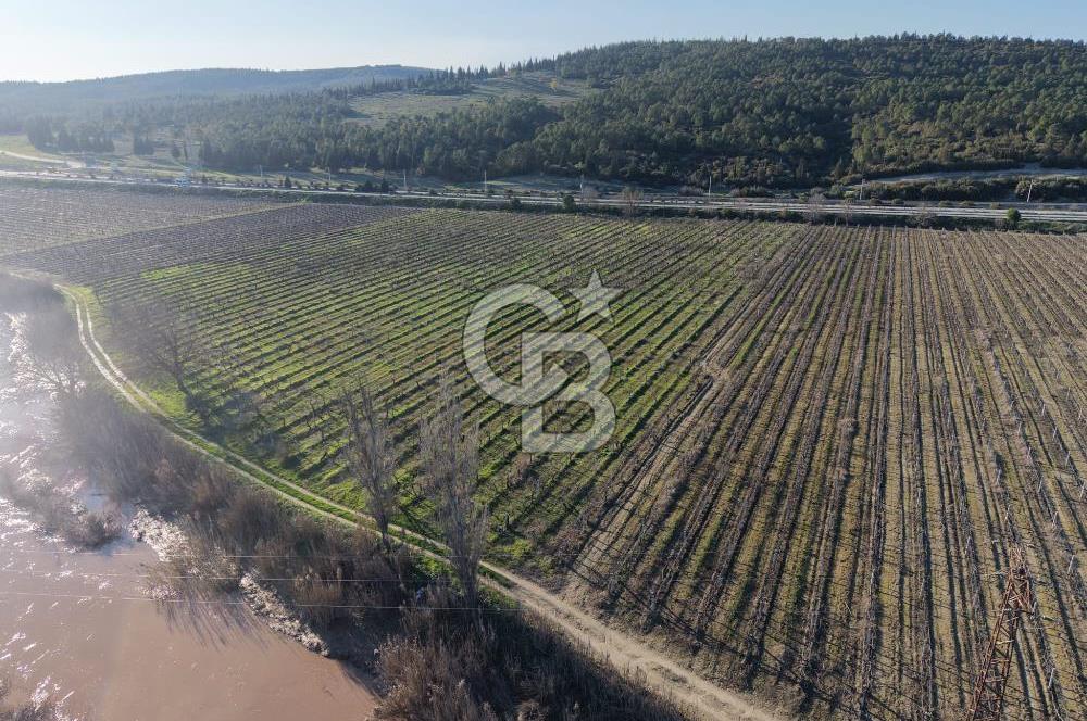 MANİSA-AKHİSAR YOLUNDA,ANAYOLA 120 METRE CEPHELİ SATILIK TARLA